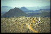 gifs/img203.jpg
91 KB)