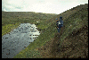 gifs/img222.jpg
59 KB)