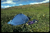 gifs/img223.jpg
59 KB)