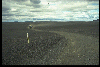 gifs/img226.jpg
59 KB)