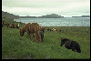 gifs/img230.jpg
(71 KB)